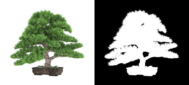 中式松树3d模型