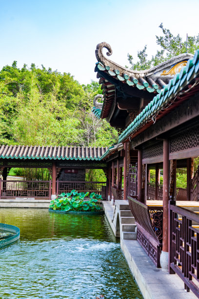 中式庭院,公园,复古风格