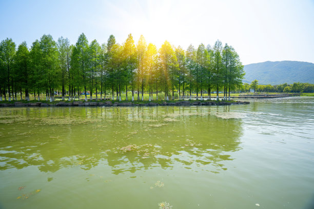 宁波湿地公园