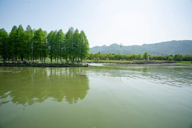 宁波湿地公园