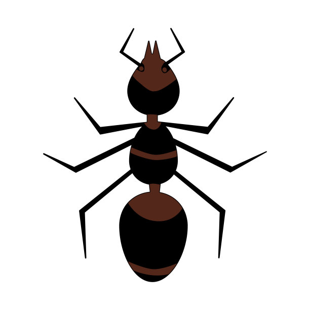 蚂蚁个性设计