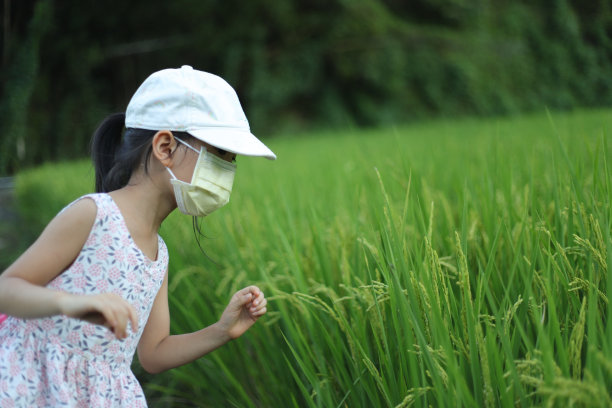 水稻防病