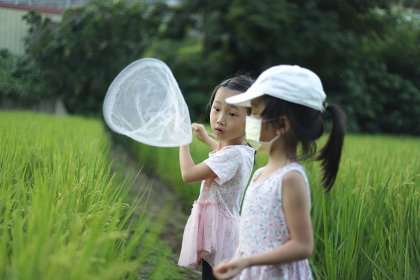 水稻防病