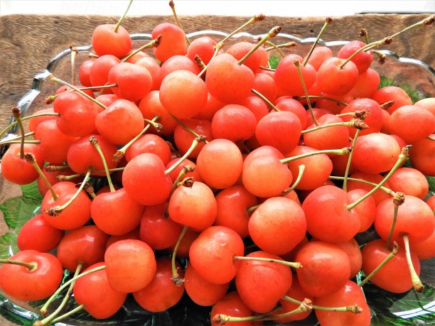 小番茄包装 西红柿礼盒