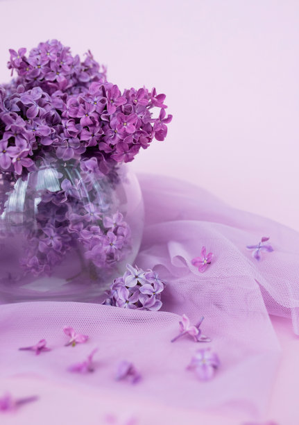 紫色花卉教师节贺卡模板