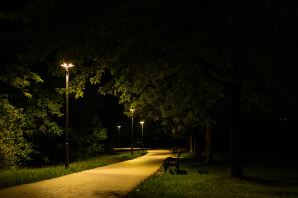 公园灯光夜景效果图
