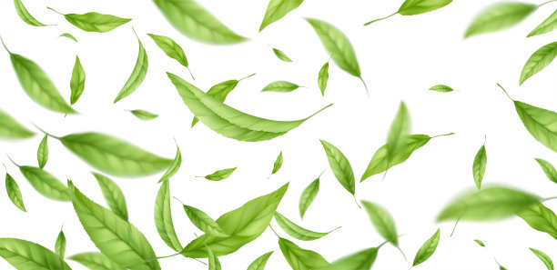 新鲜有机健康绿茶海报