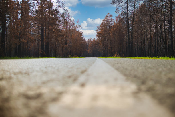 草地烧防火道