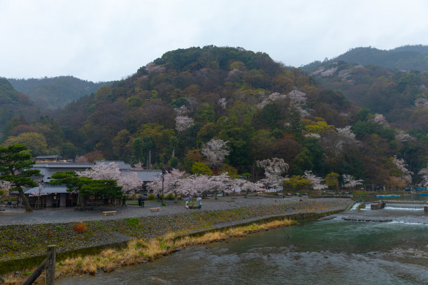 京都伏见稻荷大社红色鸟居