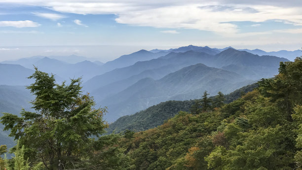 回归自然 背景画