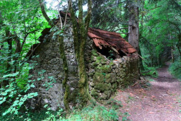 树林荒废小屋