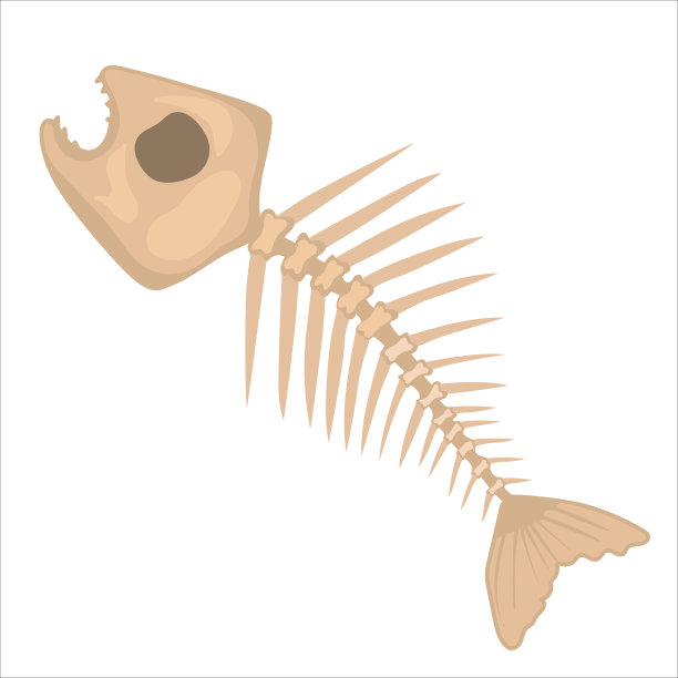 鱼脊椎骨