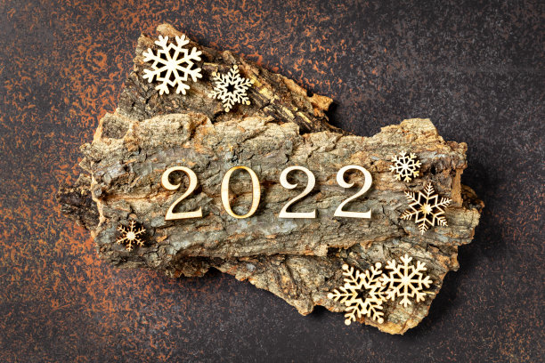 2022 年历 