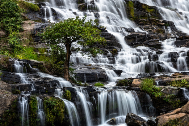 湿地远山丛林河流美景