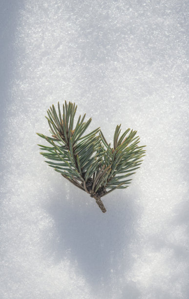  飘雪摆件 