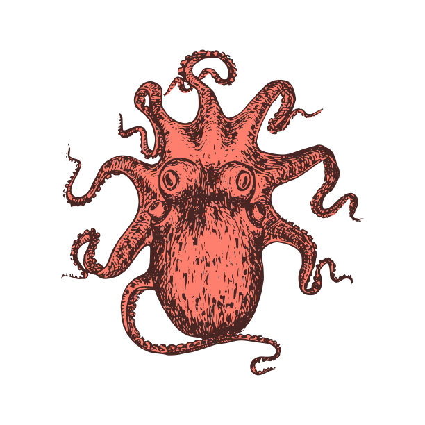 章鱼八爪鱼logo