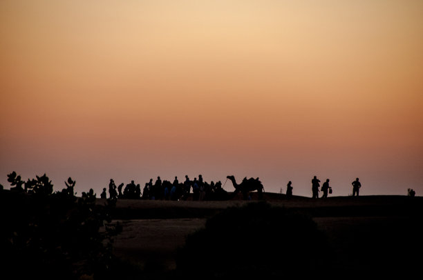 沙漠骆驼丝绸之路夕阳剪影