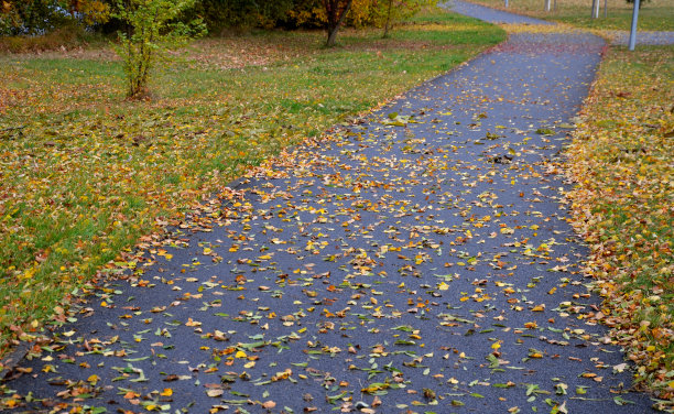 落满秋叶的小路