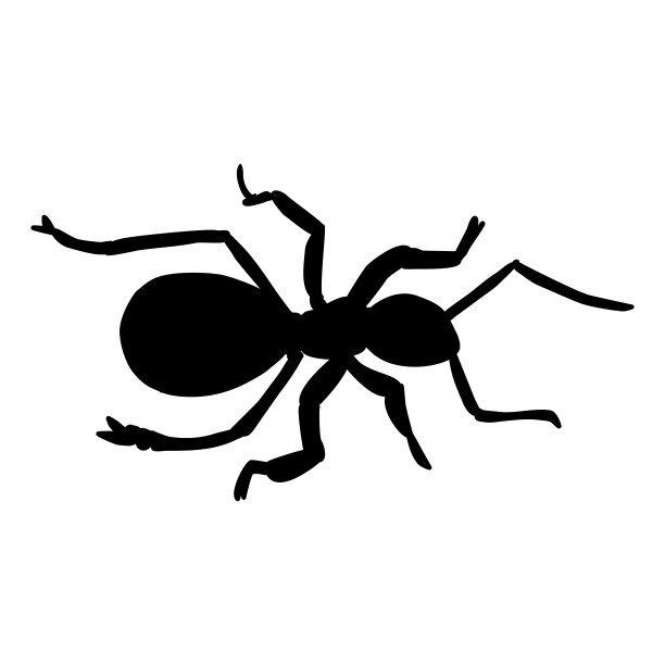 蚂蚁个性设计