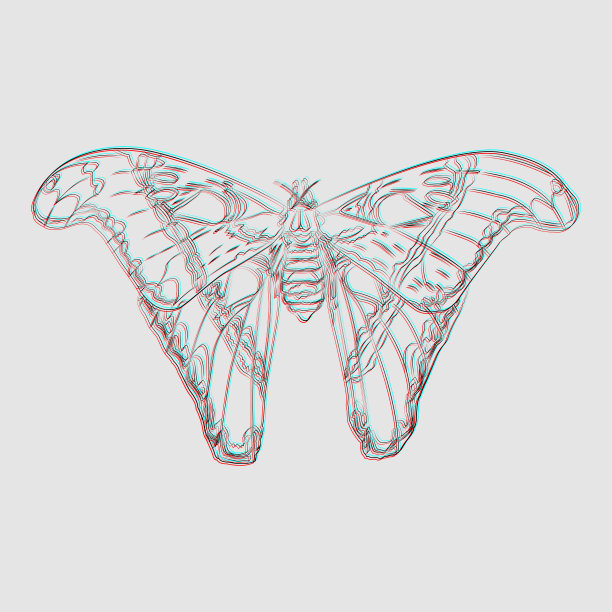 3d蝴蝶logo
