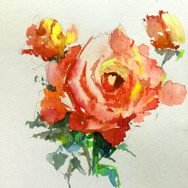 清新花卉玫瑰创意装饰画