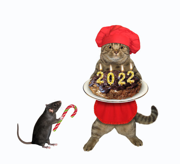 新年服装的老鼠