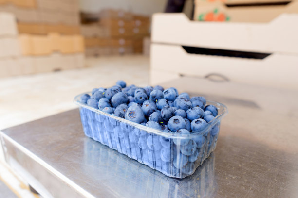 蓝莓纸箱