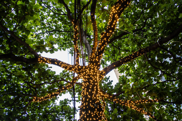 树干绿植装饰灯
