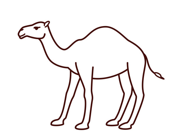旅行沙漠骆驼风格插画