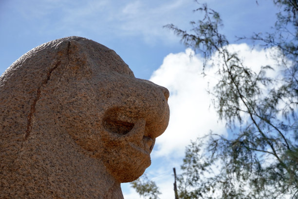 威严的石狮子狮子雕像石像