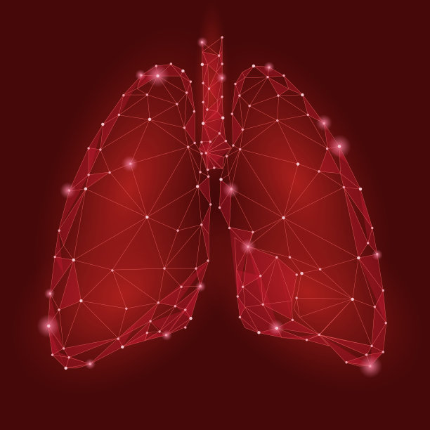 呼吸系统,人类肺脏,支气管炎