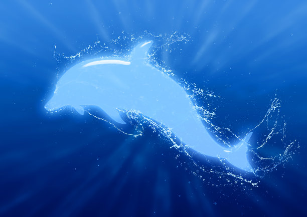 蓝色清新海豚插画