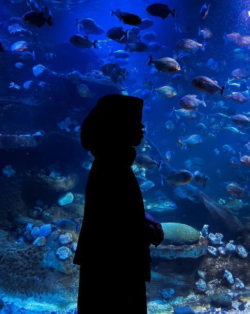 热带鱼类海洋馆海底世界背景