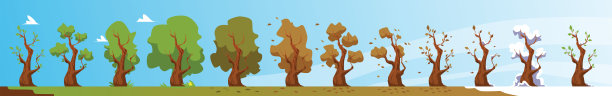 四个季节树木的变化矢量