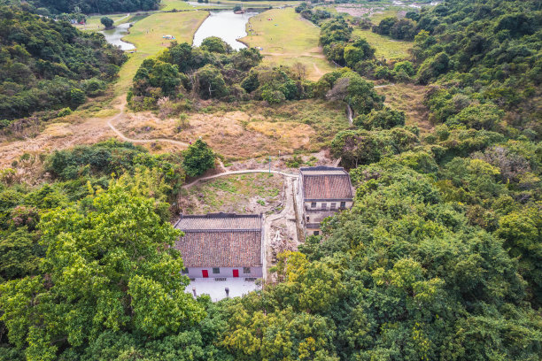 乡村,小径,湿地