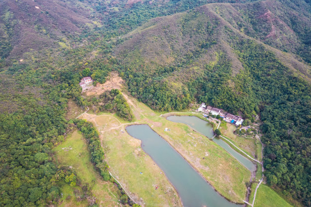 乡村,小径,湿地