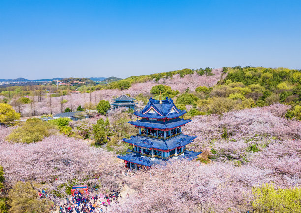 水面桃花