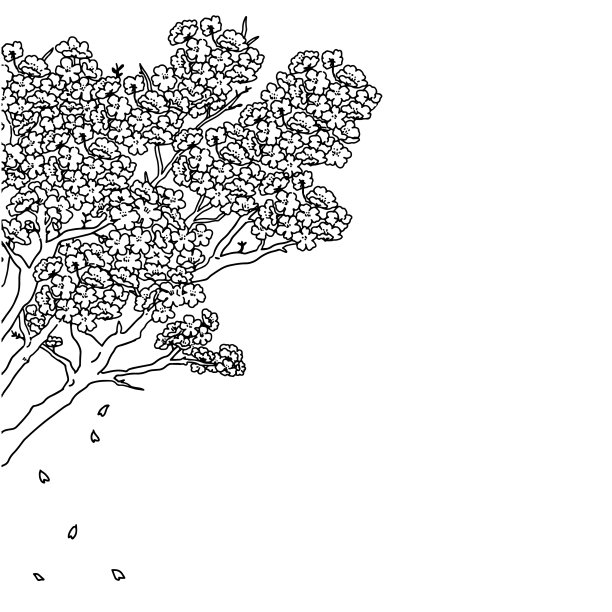 黑白简约线条植物绘画