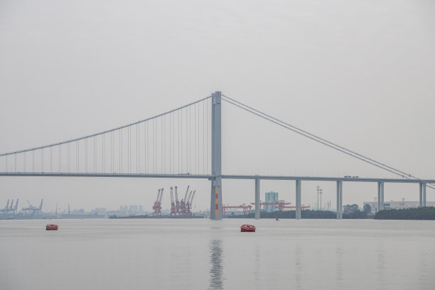 高清杨浦大桥