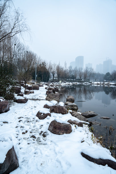 国家植物园冬景