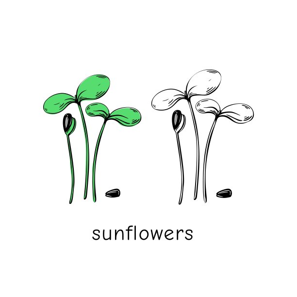 太阳花向日葵logo