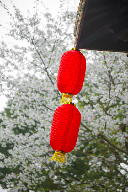 红灯笼与装饰瓦