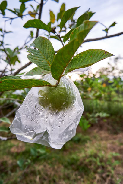 水晶石手串