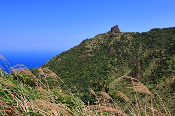 太极八卦田园