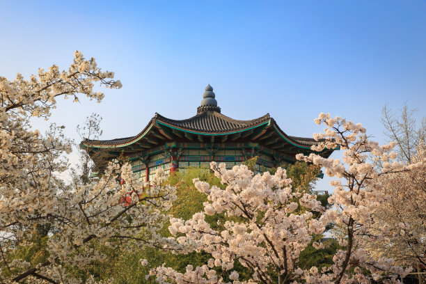 日本富士山雪山地标矢量建筑