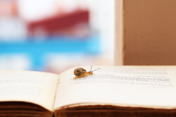 蜗牛看书