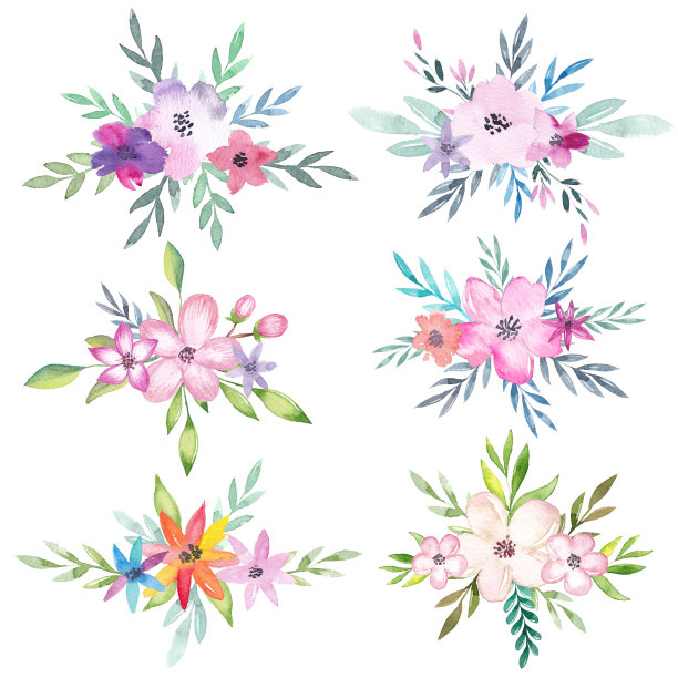手绘花卉边框元素