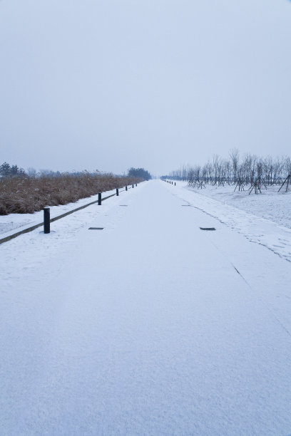 清理积雪