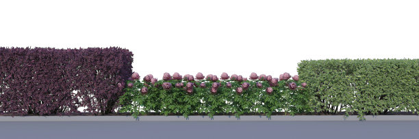 围栏绿化景观设计效果图