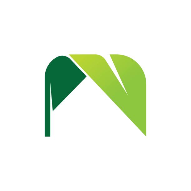 n字母logo设计,绿色标志